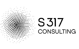 S317nsulting 1