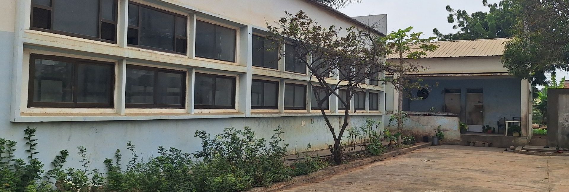 Mulemba 20250806 101942