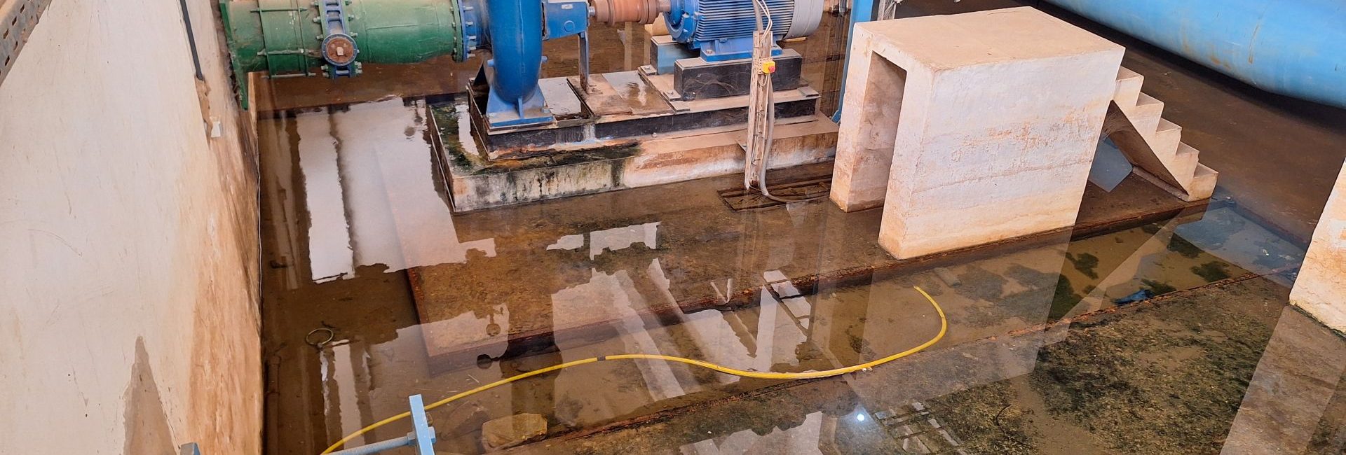 Mulembos 20250806 103248