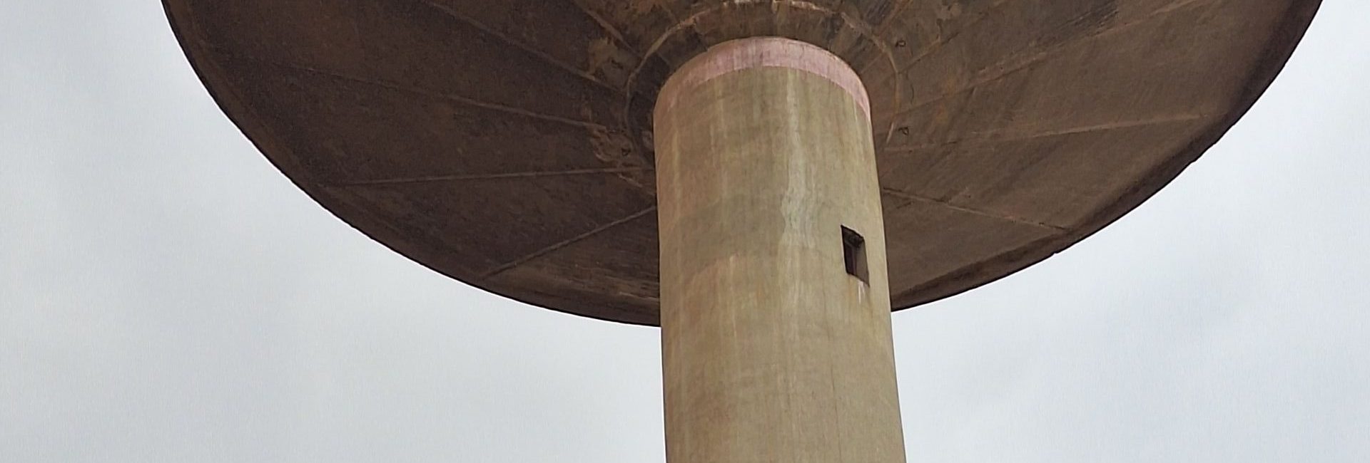 Mulembos 20250806 105014