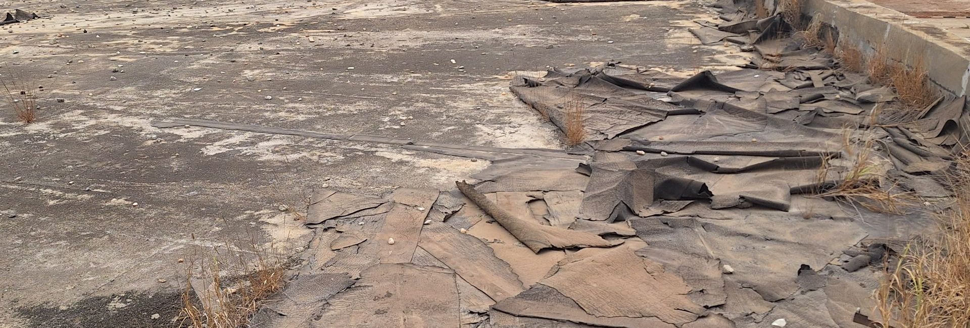 Golf 20250805 104255